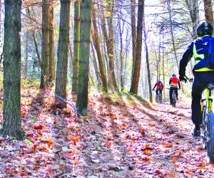 Segnaletica ciclabile: ecco "l’abaco" per la bassa valle