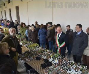 Collegno,  la primavera tarda ma 'Follia in fiore' sboccia lo stesso