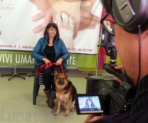 Grugliasco, al debutto il primo reality sulla pet therapy