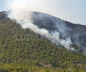 Caselette: vasto incendio sulle pendici del Musinè