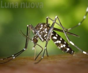 Avigliana, zanzare, il parco distribuisce un nuovo prodotto