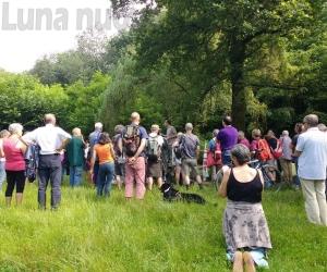 Rivoli, passeggiata No Tav sulla collina morenica