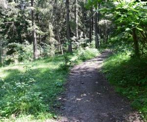 Strada di Pian Cervetto, questa è la volta buona