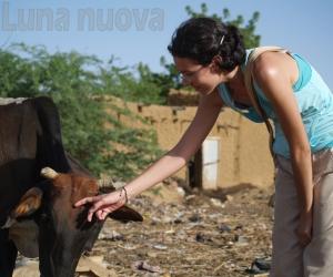 Anna: vita da nomade sulle tracce dei pastori in Mongolia