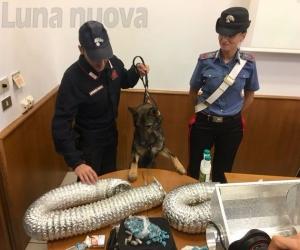 Spaccio di eroina nel ‘Sottobosco’: 12 arresti tra la valle di Susa e Torino