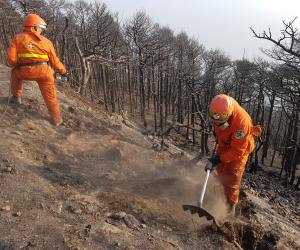 Incendi boschivi: via libera alla nuova legge regionale