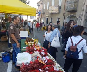 Tutti i volti della 57ª Sagra del Marrone