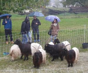 Milanere, anche il maltempo consacra la Fiera agricola