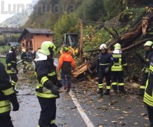 Villarbasse, albero crolla sull'auto: muoiono marito e moglie