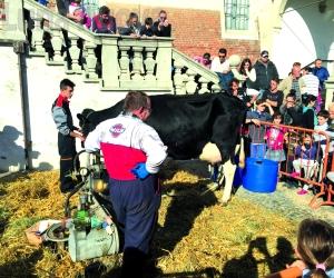 Piossasco: Autunno, la festa torna in piazza