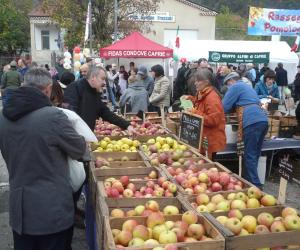 Caprie: Mela e dintorni, missione compiuta