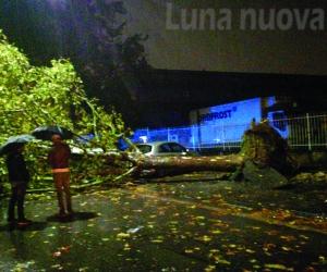 Grugliasco, per l'allerta meteo ora basta un click