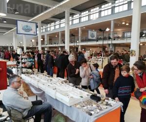 Grugliasco, alla Nave i minerali si mettono in vetrina