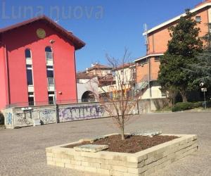 Verso il voto: cosa manca a Rivoli?  Gli elettori rispondono