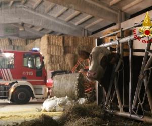 E tre: un’altra cascina va a fuoco, stavolta ad Almese
