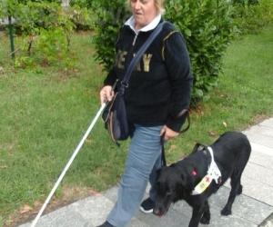 Bruino, insultata sul bus per il cane guida: lo sfogo di Loretta