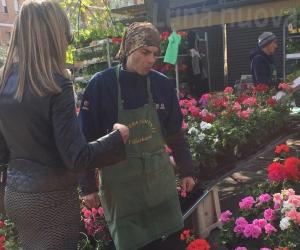 Rivoli, la Fiera di Primavera resiste al maltempo