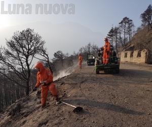 Post-incendi: pronto il Piano di ripristino del territorio