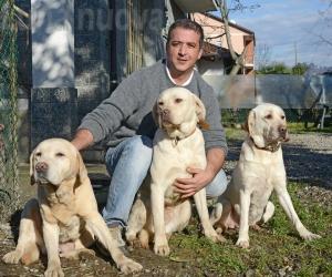Pet sitter: il mestiere più bello del mondo
