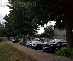 Caselette, via sette tigli per rifare il marciapiede: «Non buttateli giù»