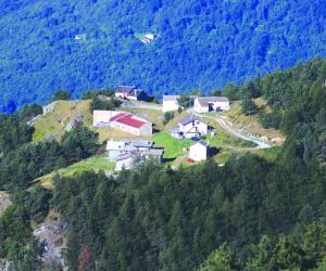 Tornano i bocconi avvelenati sul Rocciamelone