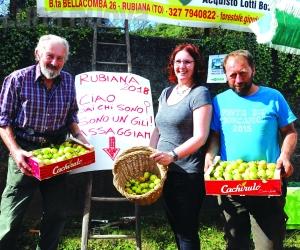 Rubiana, Festival folklore e Jazz ‘Due Laghi’: un ricco agosto al via