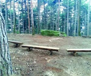 Almese: il nuovo Arboreto didattico apre i battenti