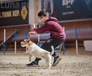 Raffaele, l’azzurrino di agility dog arriva da Avigliana