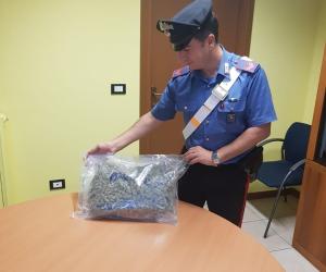 Alpignano, preso con un chilo di marijuana sul sedile