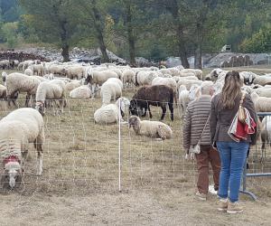 In 20mila a Oulx per la Fiera Franca del Grand Escarton