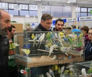 Grugliasco, la Gru si prepara ad ospitare i suoi simili