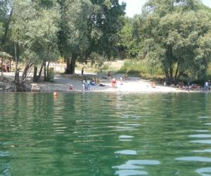 Avigliana, un canneto lungo la "passeggiata" per dare una casa ad anatre e pesci