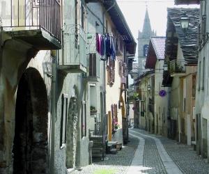 Novalesa, bocconi avvelenati in via Maestra