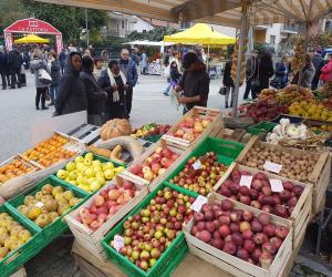 La "grande mela" invade e colora le strade di Caprie
