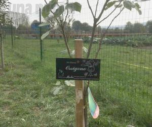 Avigliana, Don Campagna: scolari a lezione di ambientalismo 