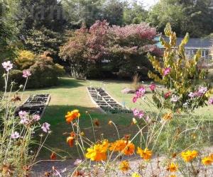 Trana, Giardino botanico Rea verso la chiusura? L’ultima spiaggia è il progetto hi-tech