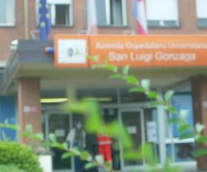 Orbassano: il San Luigi dedica un ulivo a Gino Lo Bozzo