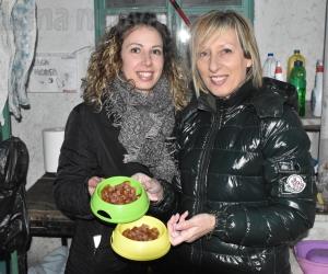 Susa: in due anni salvati molti gatti, ora Nonna Mela chiede aiuto