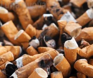 Giaveno, la guerra del Comune alle cicche