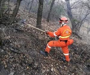 Torna il fuoco: allarme tra le case di Banda