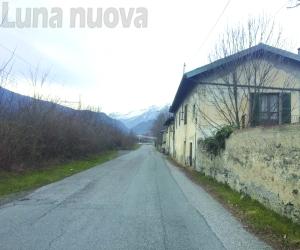 Bocconi killer, tre cani avvelenati a Susa