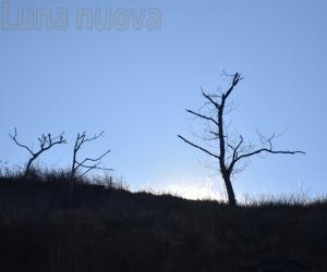 Mattie, Bussoleno e Susa: 35 incendi tra il 2012 ed oggi