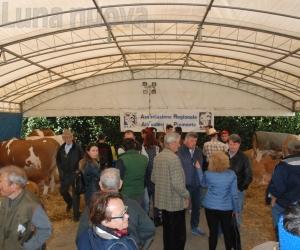 Caselette: salta l'edizione 2020 della Fiera di San Giorgio