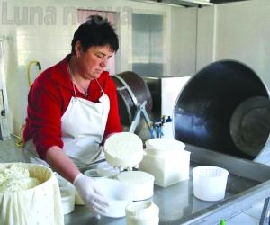Venaus: tra stalla, formaggi e virus, la dura vita dell’agricoltore