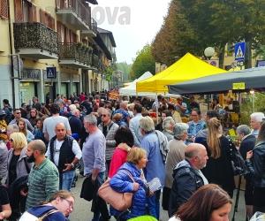 Fase 2: la ricetta dell’Unione montana per far ripartire la bassa valle