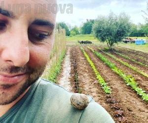 Rivalta, adotta il tuo orto: le verdure fresche arrivano a casa 