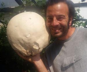 Sorpresa micologica, una vescia da oltre tre chili