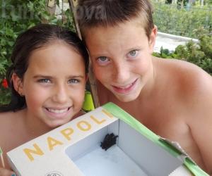 I bambini salvano il pipistrello caduto in piscina