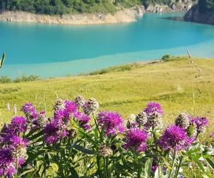Un agosto vicino a casa: tutti gli appuntamenti dell'estate in valli e cintura