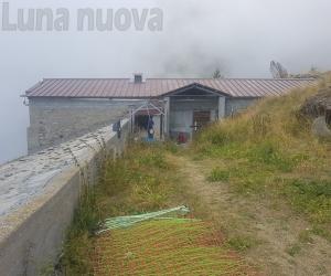 Emergenza lupi sul Rocciamelone: «No abbattimenti, ma aiutateci»